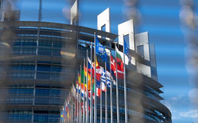 Wie EU-Nachbarländer E-Rechnung umsetzen: Fortschritte, Chancen und Defizite